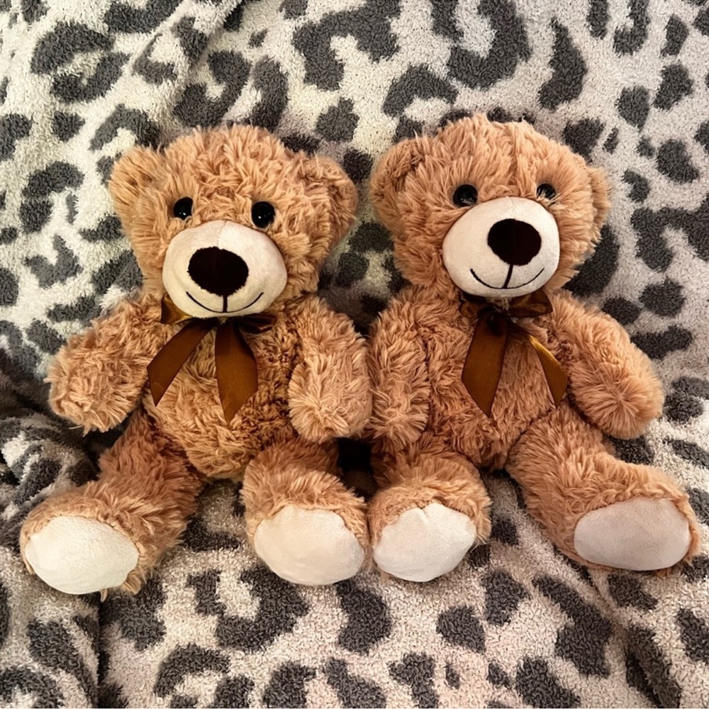 Two 10" Stuffed Teddy Bears